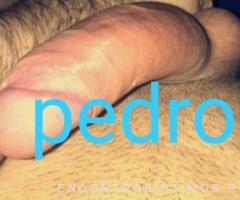 ⭐️Pedro dotado com local⭐️ - 4