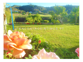 Partilhar casa - 2