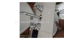 Tesudos nao comercial - 2