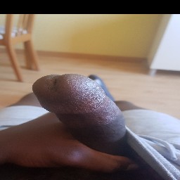 PedroG